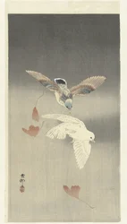 Zwei Tauben bei fallenden Ginkgo-Blättern