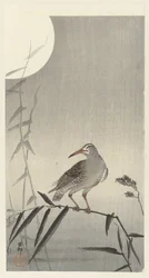 Schwarzer Reiter auf Bambuszweig