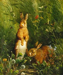 Hasen, 1878