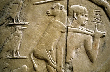 Detail eines Reliefs, das einen Mann zeigt, der ein Opfertier trägt