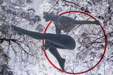 Aeralist, 2021