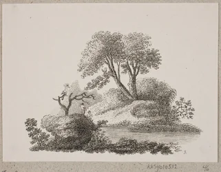 Der Wiedehopf und die Nachtigall