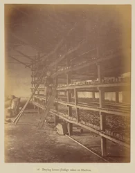 Trocknungshaus (Indigokuchen auf Regalen)