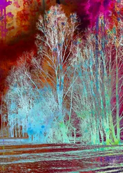Surrealer bunter Wald