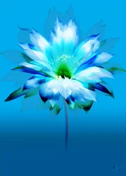 Lebhafte blaue Blüte