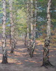 Birkenweg auf dem Heller bei Dresden