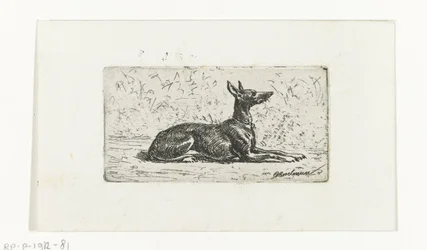 Liegender Windhund