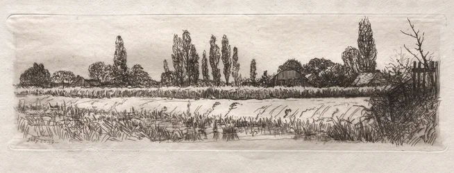 Kornfeld, 1879