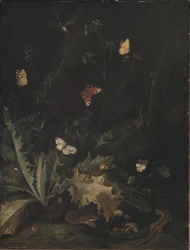 Ein Waldboden mit einer Distel, einer Schlange, einer Eidechse und Schmetterlingen