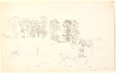Landschaft mit Bäumen