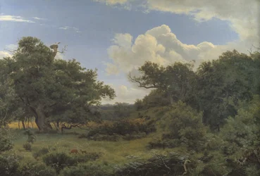 Eichen in Nordskoven bei Jægerspris, Seeland
