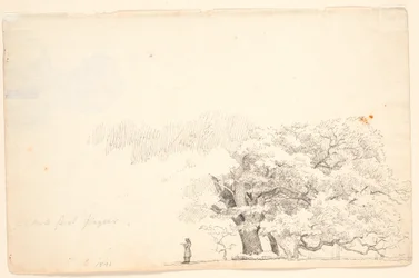 Große Eichen, links ein lesender Mann