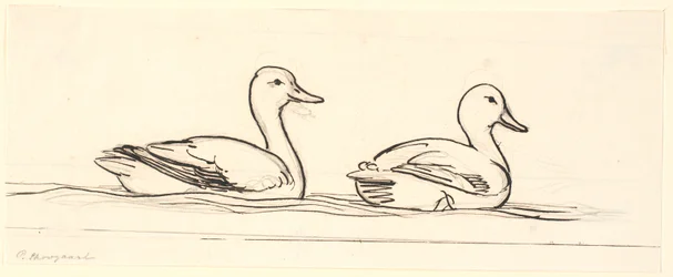 Zwei Enten. Dekorativer Entwurf.