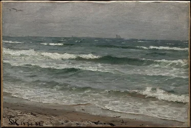 Meereslandschaft. Skagen