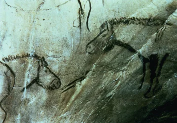 Pferde, Felsmalereien im Schwarzen Raum, Magdalénien