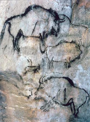Verletzter Bison, Magdalénien