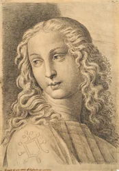 Kopf einer Frau, aus 42 Studien von Köpfen nach Raphael