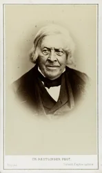 Porträt von Jules Michelet, ca. 1870