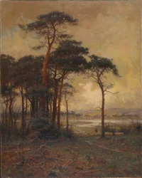 Vom Moor zum Sumpf
