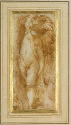 Ein Putto, nach links gewandt