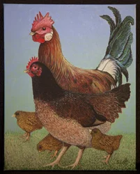 Hühnerfamilie, 2016