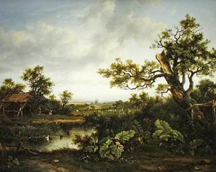 Waldlandschaft