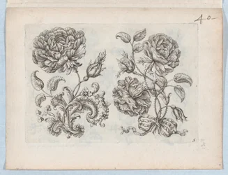 Serie kleiner Blumenmotive, Platte 5, ca. 1670-85