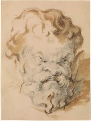 Kopf des Silenus
