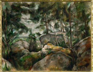 Felsen im Wald
