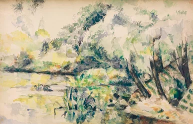 Sumpfwasser (in der Nähe von Melun?)