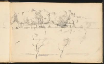 Landschaft mit Bäumen