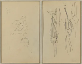 Kauernder Affe und Männerkopf; Knochen und Muskeln [verso]