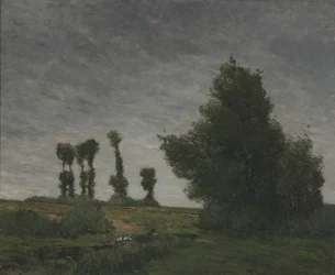 Landschaft mit Pappeln
