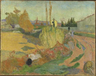 Landschaft aus Arles
