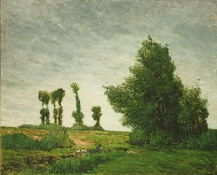 Landschaft mit Pappeln