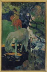 Das weiße Pferd