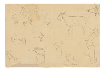 Skizzen verschiedener Tiere und Kopf (recto), Skizzen eines Kopfes, Figur im Profil, anatomische Details und Tiere (verso)