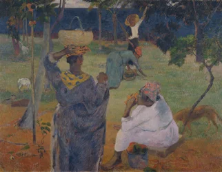 Die Mangobäume, Martinique