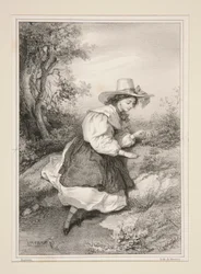 Die zwei Gänseblümchen.