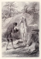 Das Pferd blieb stehen und starrte mich an, aus der französischen Ausgabe von Gullivers Reisen von Jonathan Swift