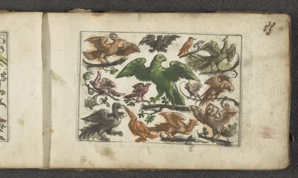 Raubvogel, elf andere Vögel und eine Fledermaus
