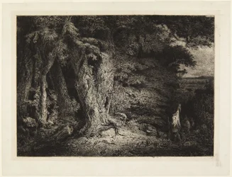Eingang zum Wald oder Das Dickicht