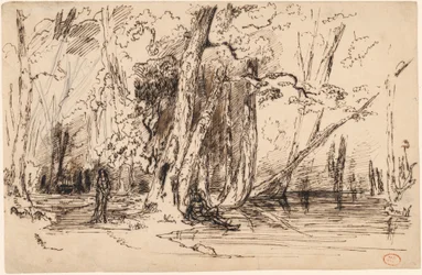 Überschwemmung im Wald der Île Séguin