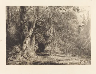 Überschwemmung im Wald der Île Séguin