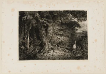 Der Waldeingang. Beraldi 74