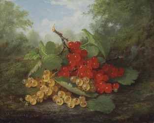 Stillleben mit roten und weißen Johannisbeeren