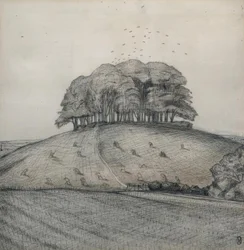 Der Wald auf dem Hügel