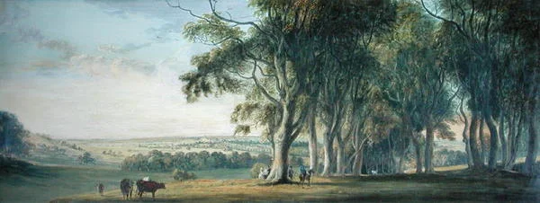 Blick auf Windsor, vom Snow Hill im Großen Park