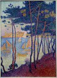 Segel und Kiefern