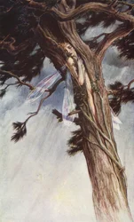 Der Sturm von William Shakespeare, Akt I, Szene 2